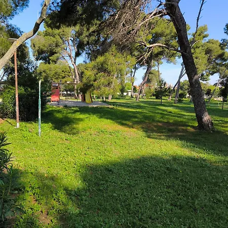 Apartament Gana Zadar